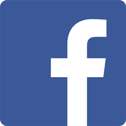 zur facebook-Seite